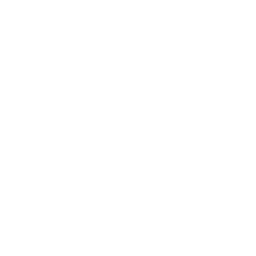 Intelligence Artificial